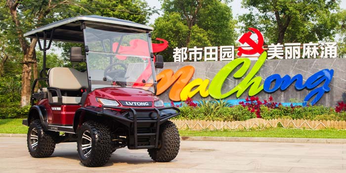 敞開式電動巡邏車